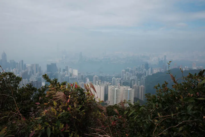 View of the city from Jardine’s Lookout